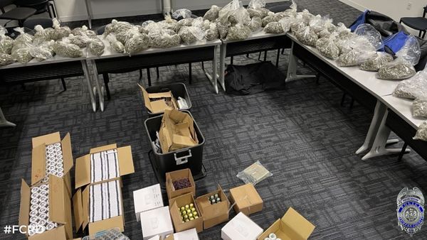 Narcotics bust.jpg
